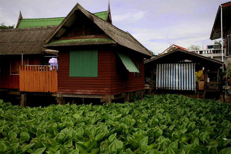 Stilt house Chao Phraya Bangkok copy