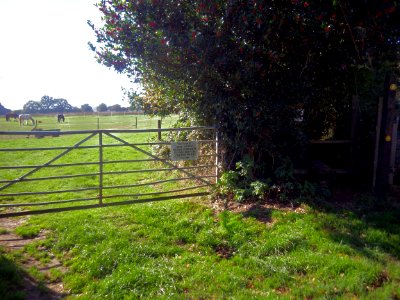 Stile, near Footpath 47, Bexhill