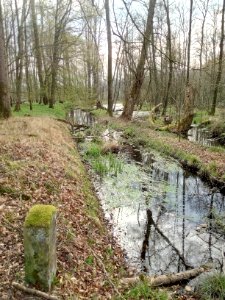 Stinkgraben, vor Mündung in Haftgraben