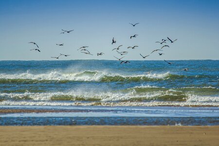 Beach wales england photo