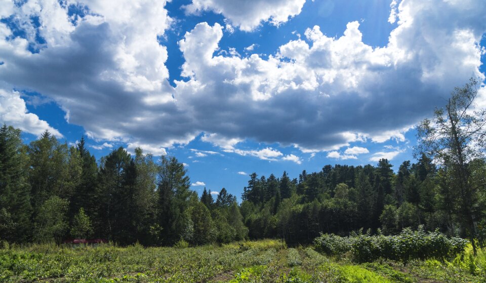 Nature blue landscape photo