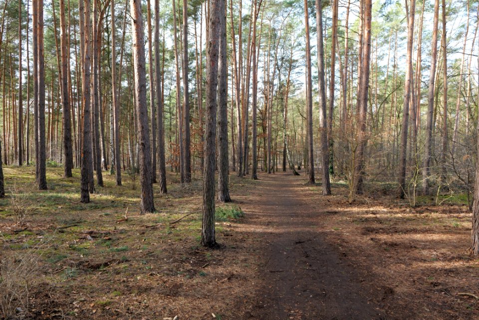 Stolper Weg Siedlung Kleinmachnow 2021-02-24 07