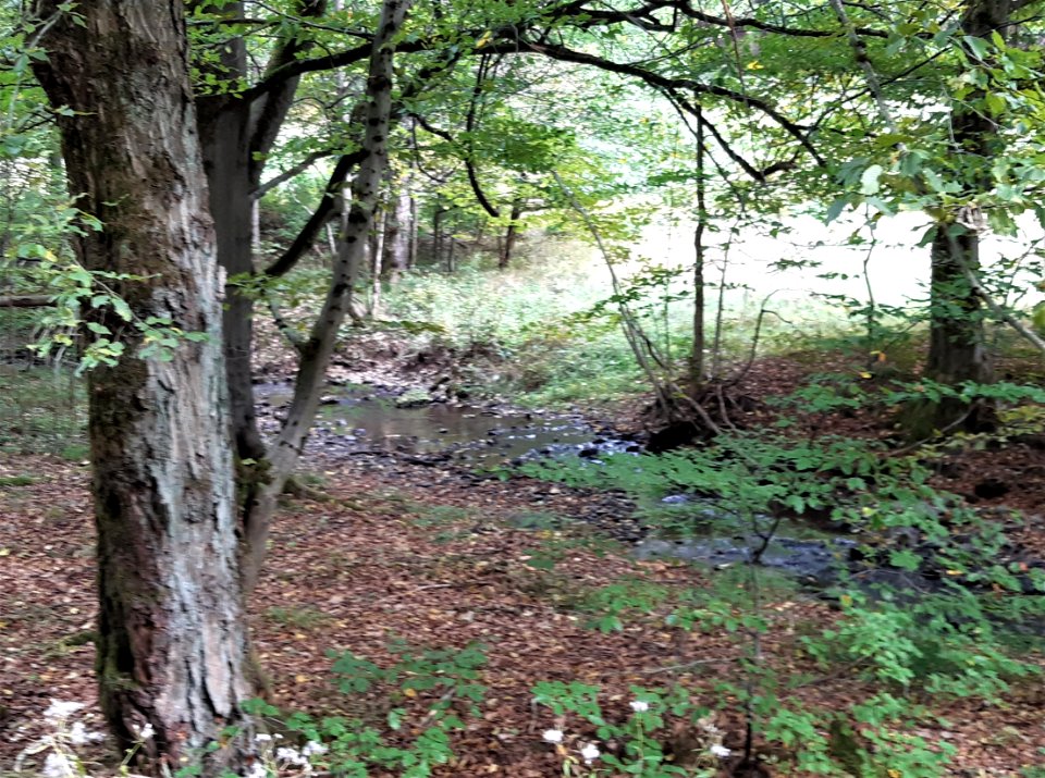 Stolberg Ludetal 1