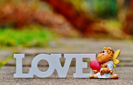 Valentine's day love cute photo