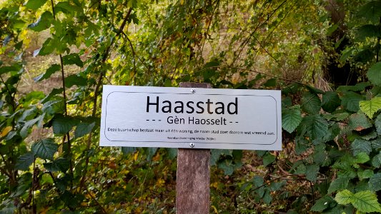 Stokhem-Haasstad bord