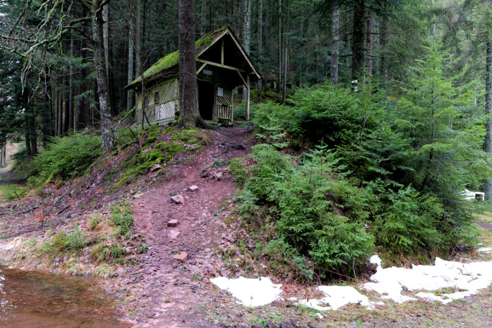 Stirnleshütte 2020-03-11 01