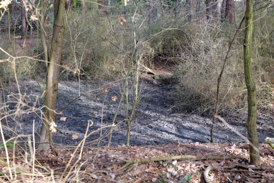 Stolper Weg Siedlung Kleinmachnow 2021-02-24 03