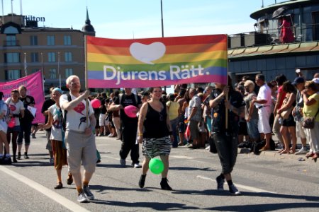 Stockholm Pride 2013 - 139 photo