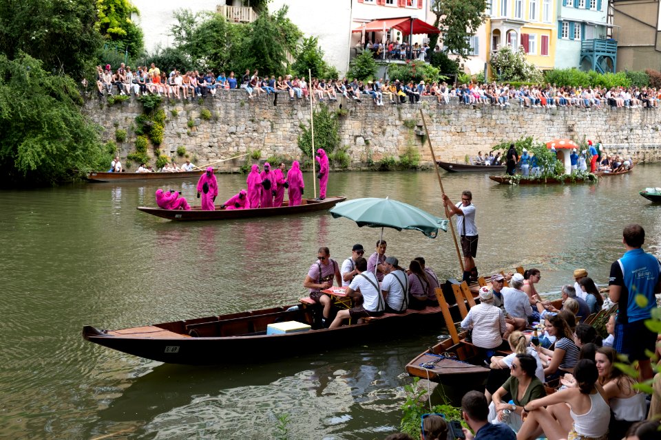 Stocherkahnrennen 2019 Kostümparade 053
