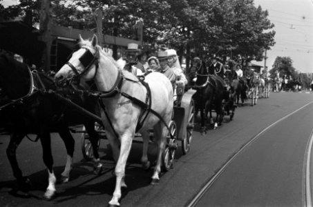 Stichting Paard en Koets organiseerde een rijtoer door Amsterdam, Bestanddeelnr 922-5250