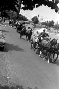 Stichting Paard en Koets organiseerde een rijtoer door Amsterdam, Bestanddeelnr 922-5249