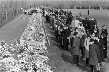 Stoet trekt langs de kisten, Bestanddeelnr 929-1131
