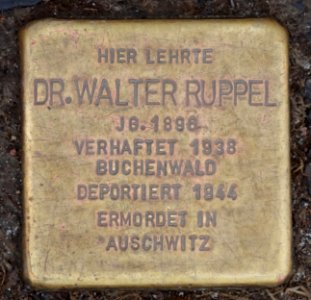 Stolperstein Bergallee 8, Gotha