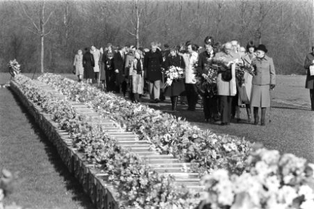 Stoet trekt langs de kisten, Bestanddeelnr 929-1133