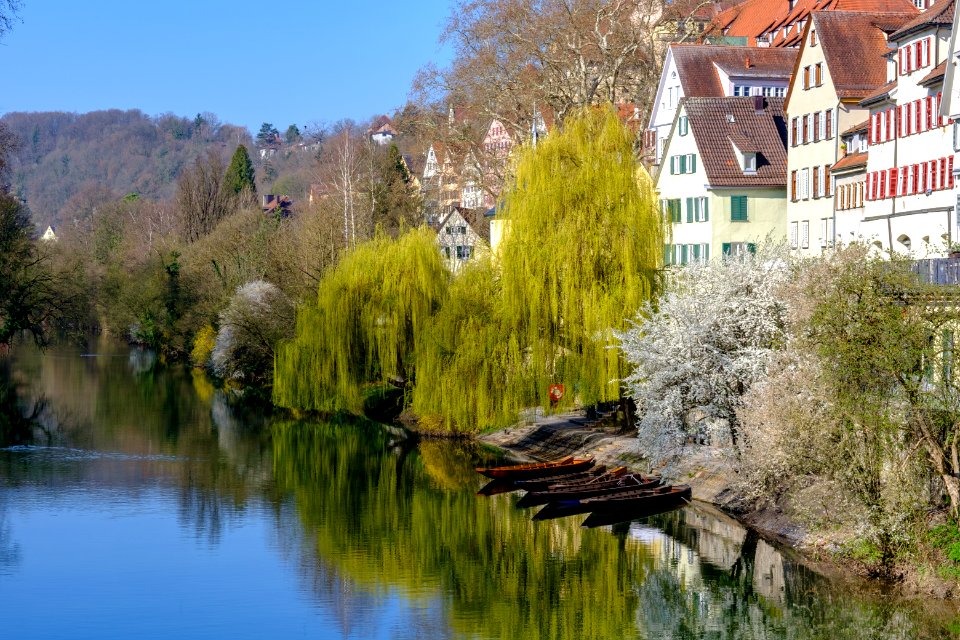 Stocherkähne in Tübingen an der Neckarfront gesehen von der Treppe vor der Neckarmauer 2019 003