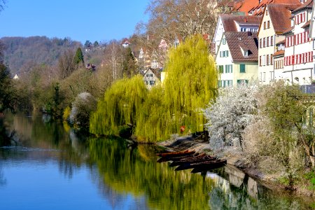 Stocherkähne in Tübingen an der Neckarfront gesehen von der Treppe vor der Neckarmauer 2019 003