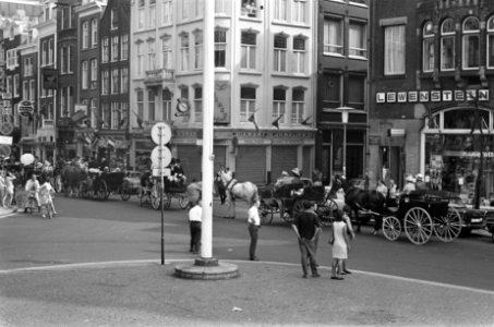 Stichting Paard en Koets organiseerde een rijtoer door Amsterdam, Bestanddeelnr 922-5248