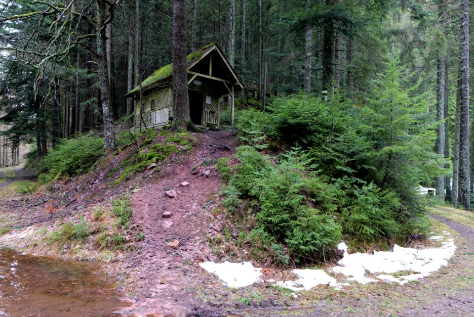 Stirnleshütte 2020-03-11 02