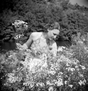 Stiefdochter Hans plukt bloemen, Bestanddeelnr 191-0589