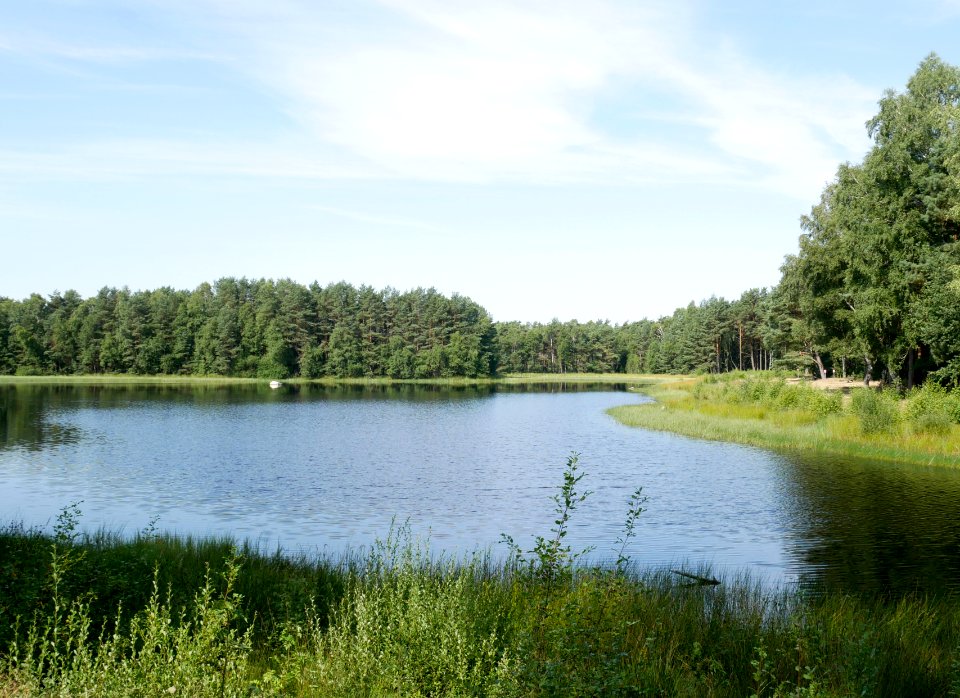 Stichter See, Heidekreis, 2018-07