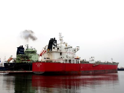 STI Sapphire (ship, 2013) IMO 9650573 Port of Amsterdam
