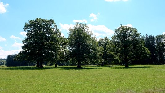StOÜbPl Traunstein Huteeichen