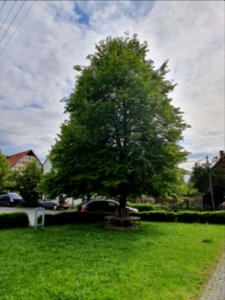 Stiebritz