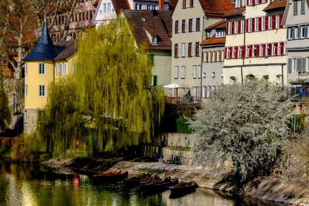 Stocherkähne in Tübingen vor dem Hölderlinturm 2019