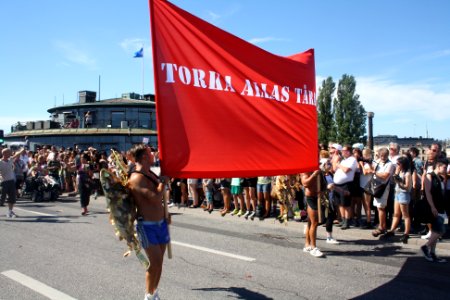 Stockholm Pride 2013 - 87 photo