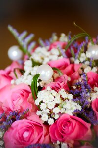 Pink pearl flower
