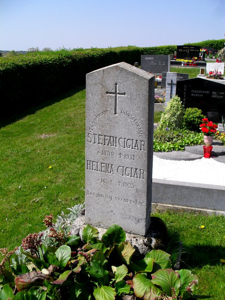 Stefan Ciglar, Korovci