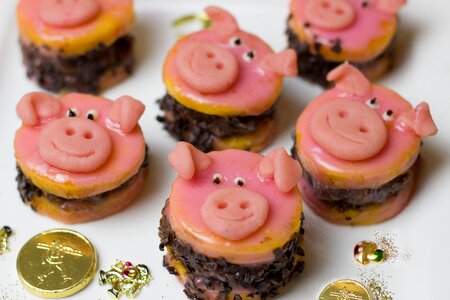 Pig luck annual financial statements