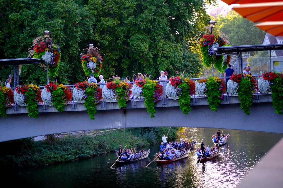 Stocherkaehne-und-neckarbruecke