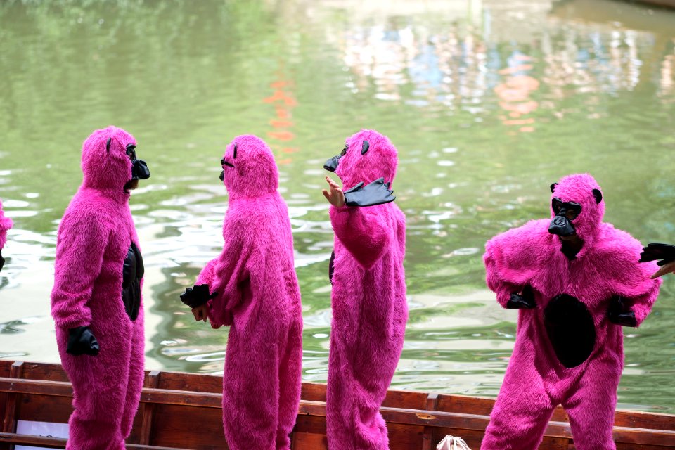 Stocherkahnrennen 2019 Kostümparade 003
