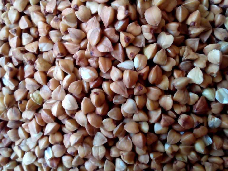 Steamed Buckwheat up-close B