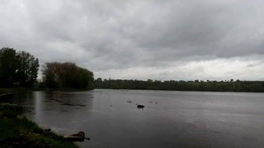 Stausee Öpfingen Richtung Westen