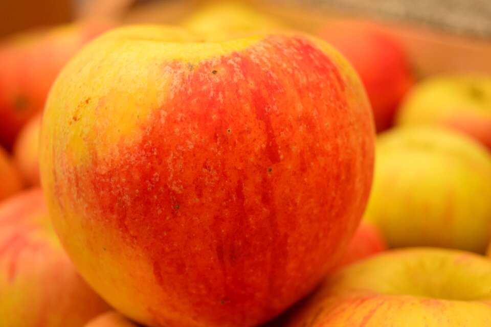 Vitamins red ripe