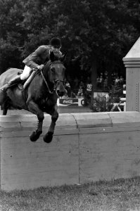 Steemke met het paard Erle uit Duitsland in actie, Bestanddeelnr 928-1128