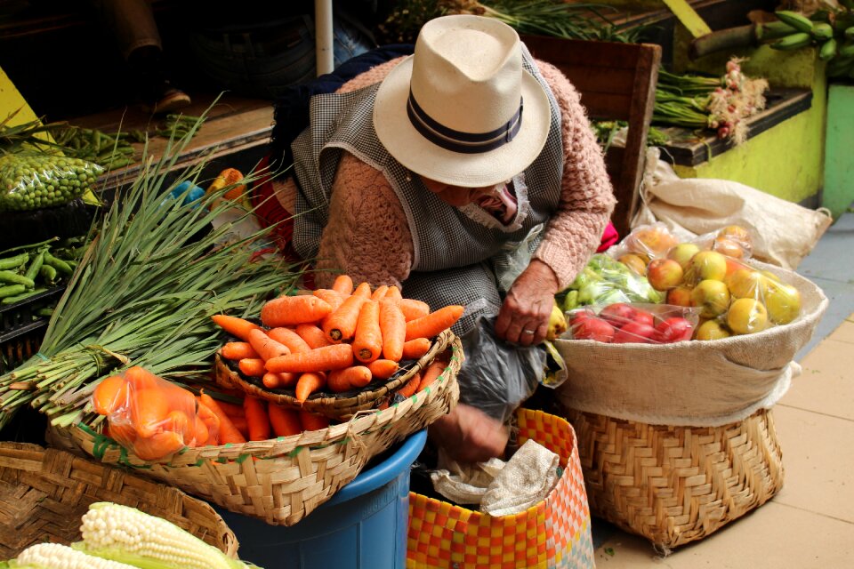 Vegetables basin sale