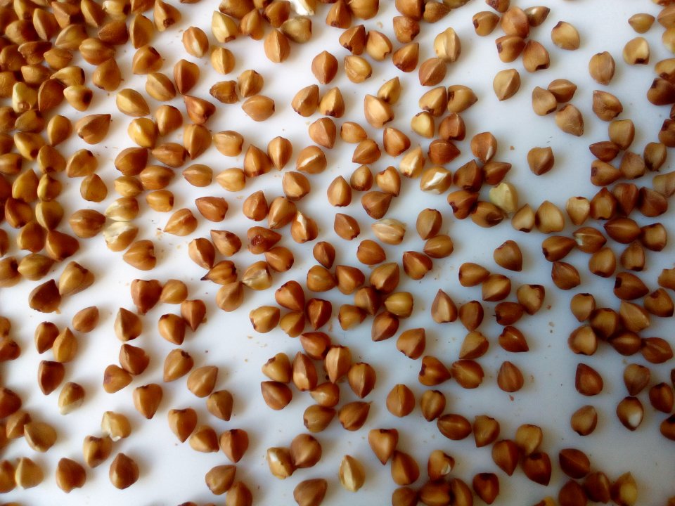 Steamed Buckwheat up-close C