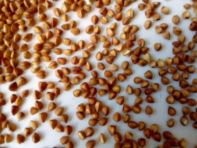 Steamed Buckwheat up-close C