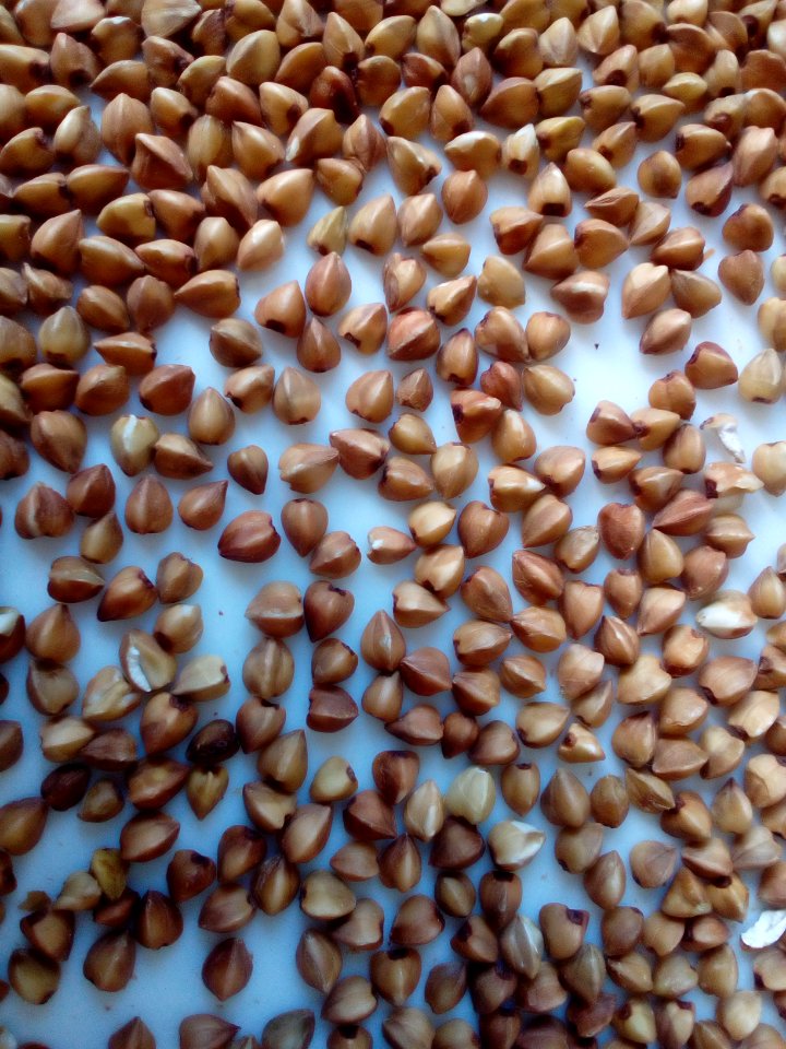 Steamed Buckwheat up-close D