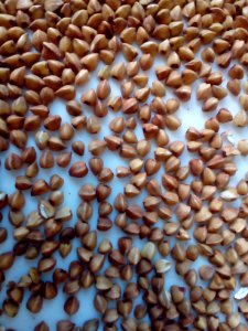 Steamed Buckwheat up-close D