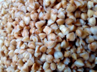Steamed Buckweat, soaked in water C