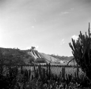 Steengroeve op Aruba, Bestanddeelnr 252-7978