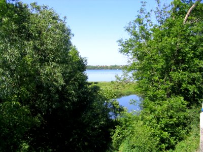 Stausee Rötha am Südwestende im Mai 2007