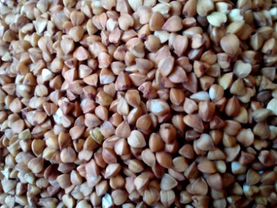Steamed Buckwheat up-close A