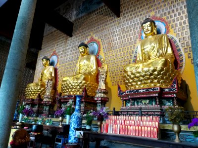 Statues of Buddha, Multi-Buddha Hall (Wanfo Hall), Miyin Temple, photographed from the side photo