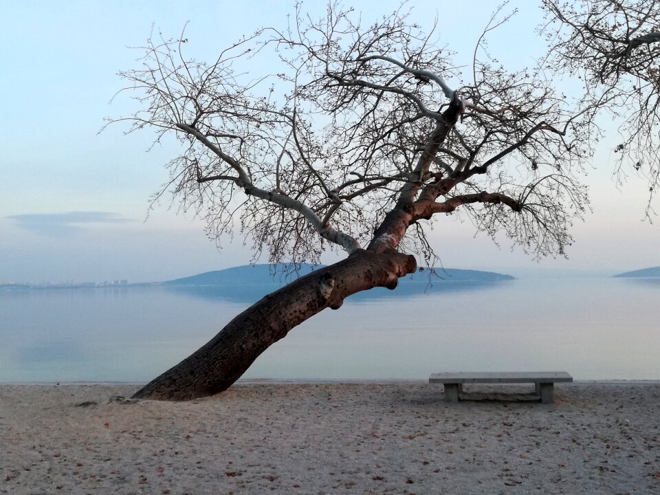 Sea nature sand