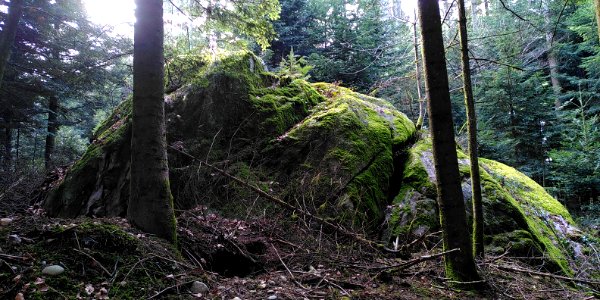 Steinenberg Gemeinde Seeberg Schweiz 01